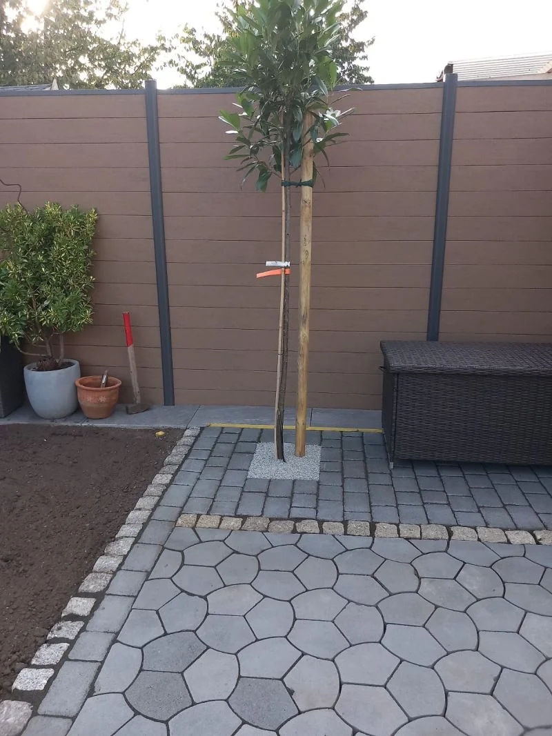 Bielecki Bau – Baum im Hinterhof