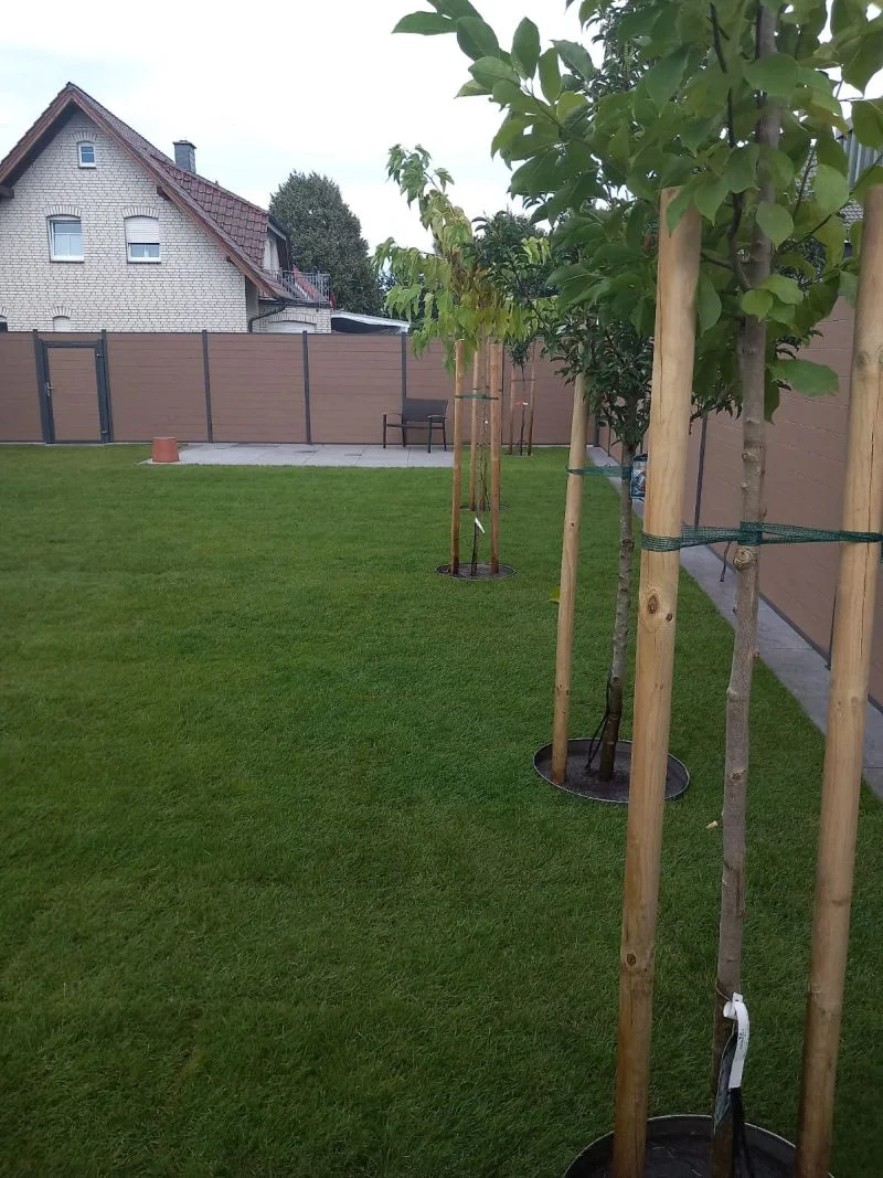 Bielecki Bau – Hinterhof