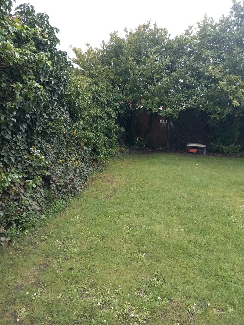 Bielecki Bau – Garten